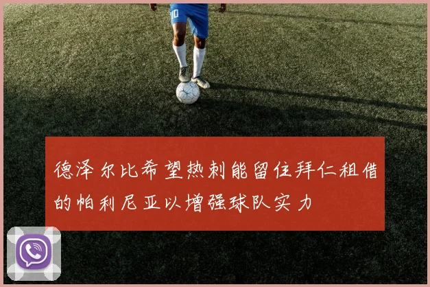 德泽尔比希望热刺能留住拜仁租借的帕利尼亚以增强球队实力